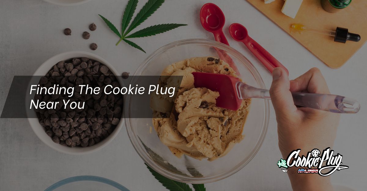The Cookie Plug