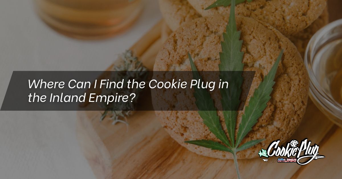 Cookie Plug in the Inland Empire