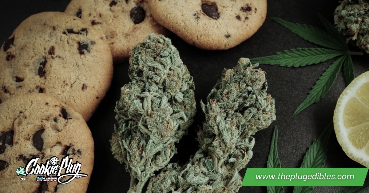 Cookie Plug in the Inland Empire